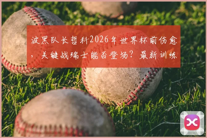波黑队长哲科2026年世界杯前伤愈,关键战瑞士能否登场?最新训练状态曝光